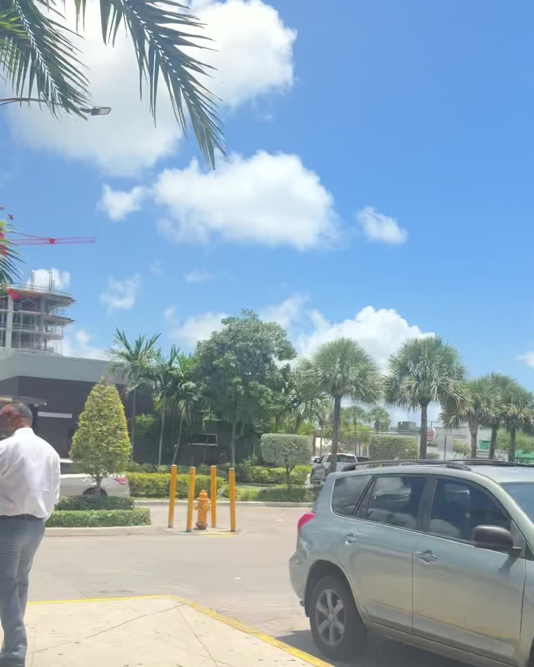 Parking and palms recorded at Northside